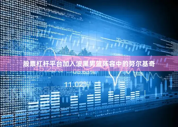 股票杠杆平台加入波黑男篮阵容中的努尔基奇