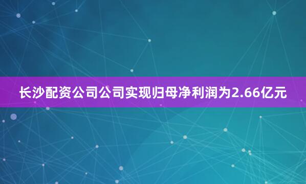 长沙配资公司公司实现归母净利润为2.66亿元